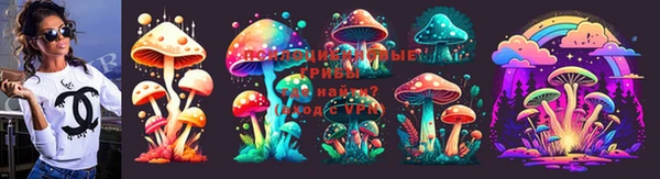 гашик Баксан
