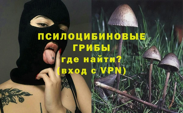 амф Балахна